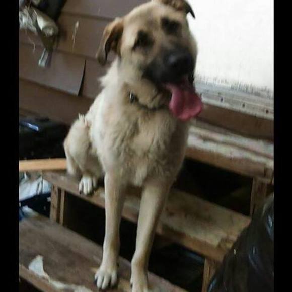 Meet your Posher, Juan - Picture 1 of 1